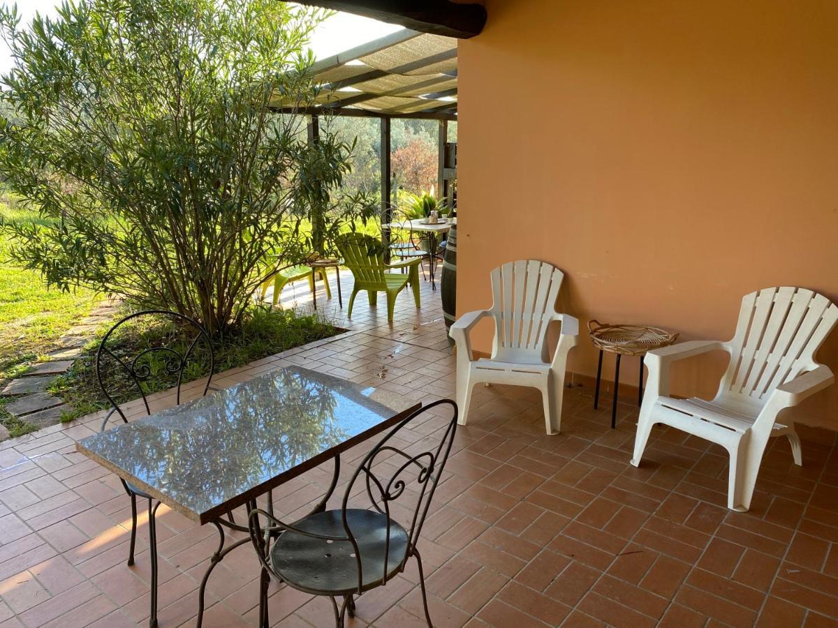 Coliberto Villa Massa Marittima Bagian luar foto
